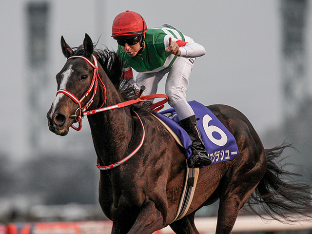 有馬記念】ラストランで有終の美を飾った名馬たち | 競馬まとめ