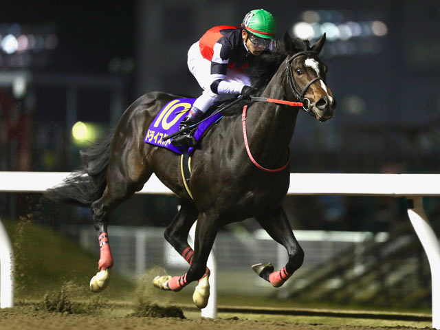 ドライスタウトのニュース・最新情報