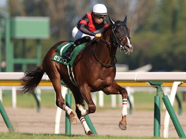 【朝日杯FS2021最新情報】未来に向け光輝く逸材は誰だ？