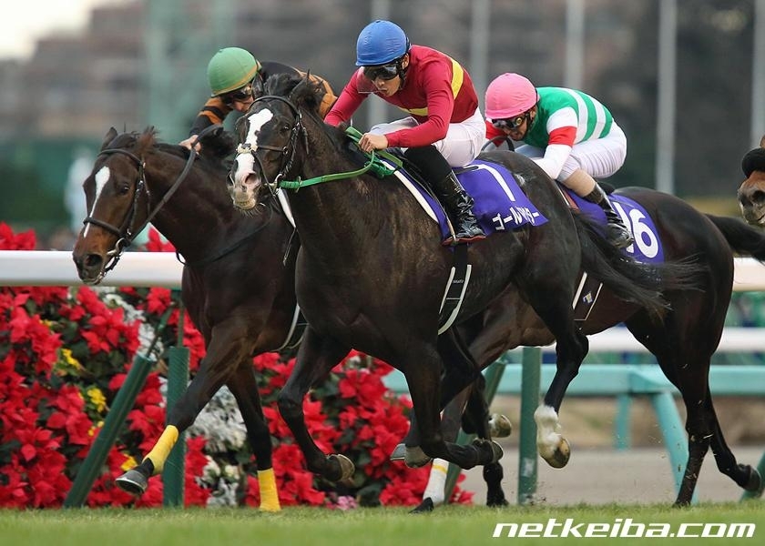 有馬記念予想 1番人気は信用できる 過去10年の人気 配当の成績 競馬予想データ 競馬まとめ Netkeiba Com