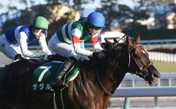 【京都金杯2022結果】絶好調松山騎手の手綱に応え内を鋭く突いたザダルが重賞2勝目！ 