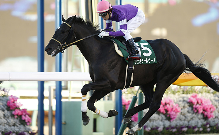 京成杯予想】過去10年のレース結果（1～3着馬）のデータ一覧/競馬予想データ | 競馬まとめ - netkeiba