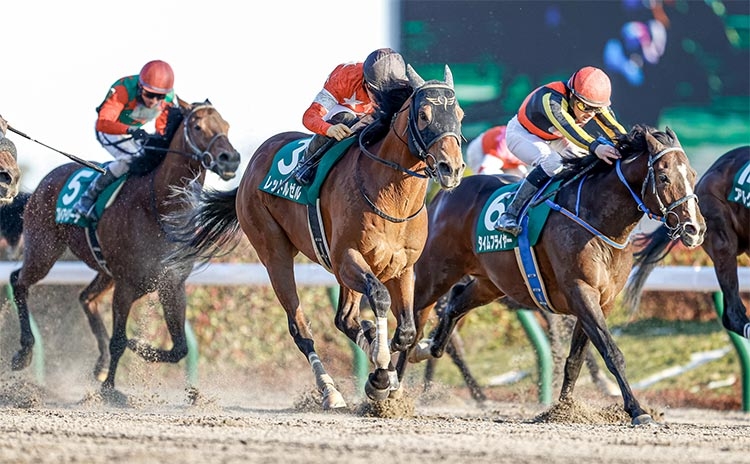 【根岸ステークス予想】過去10年のレース結果（1～3着馬）のデータ一覧/競馬予想データ | 競馬まとめ - netkeiba.com