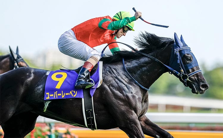 【京都記念2022最新情報】今後の中距離路線を占う重要な一戦！