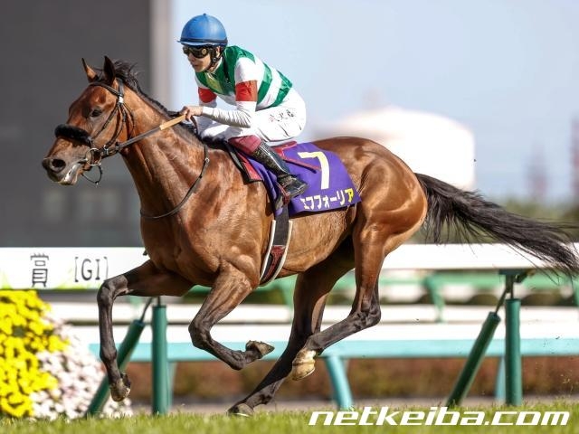 皐月賞予想】過去10年のレース結果（1～3着馬）のデータ一覧/競馬予想データ | 競馬まとめ - netkeiba