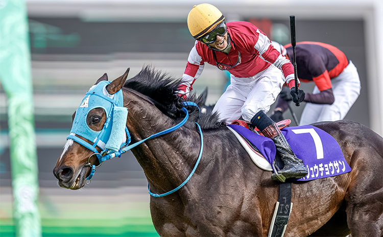 中山グランドジャンプ 歴代優勝馬 騎手一覧 競馬まとめ Netkeiba Com