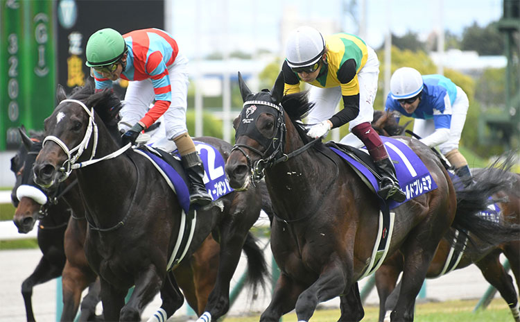 天皇賞・春（G1）まとめ】2022年5月1日に阪神競馬場で開催！ ニュース・予想・データ・結果・出走馬など最新情報 | 競馬まとめ - netkeiba