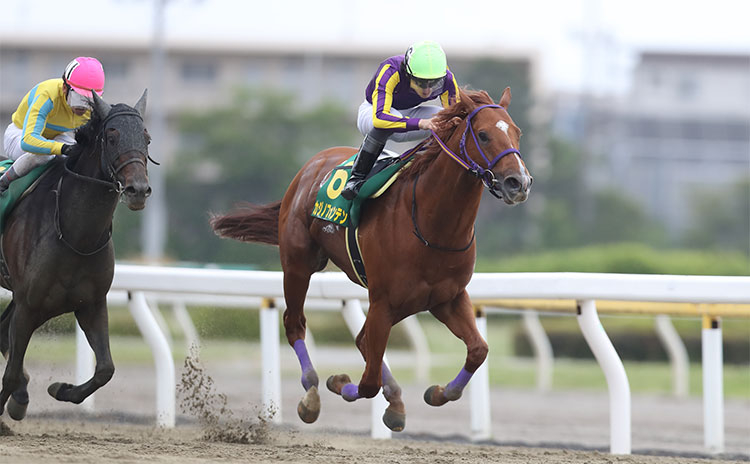 かしわ記念予想 過去10年のレース結果 1 3着馬 のデータ一覧 競馬予想データ 競馬まとめ Netkeiba Com