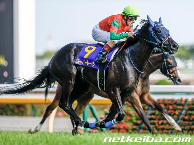 エアグルーヴ 1997年 ジャパンカップ JRA東京競馬場 単勝馬券 現地馬券