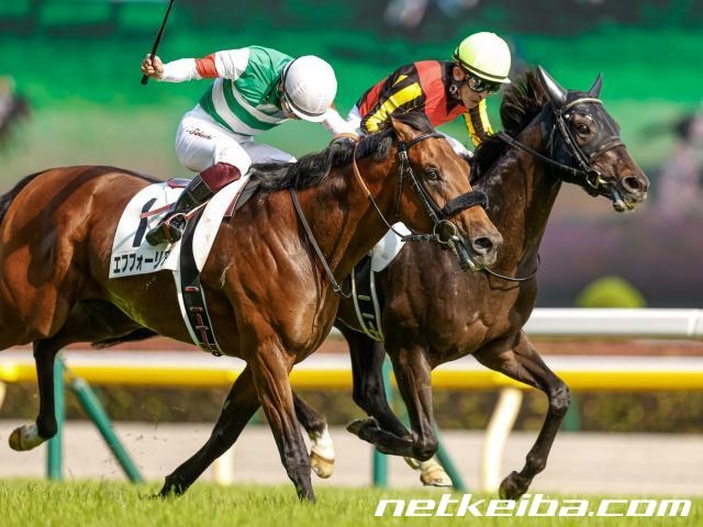 競馬ファンが選ぶ 思い出の日本ダービー馬 は Top5を発表 3位シャフリヤール 2位サニーブライアン 1位は 第3回中間結果発表 競馬まとめ Netkeiba Com