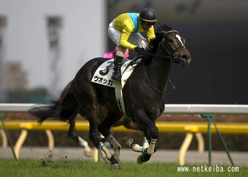 競馬ファンが選ぶ 思い出の日本ダービー馬 ランキングtop10 最終結果発表 競馬まとめ Netkeiba Com