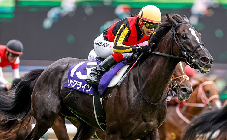 スタイルズ(STYLES) 競馬 JRA 安田記念 ソングライン ポスター B1