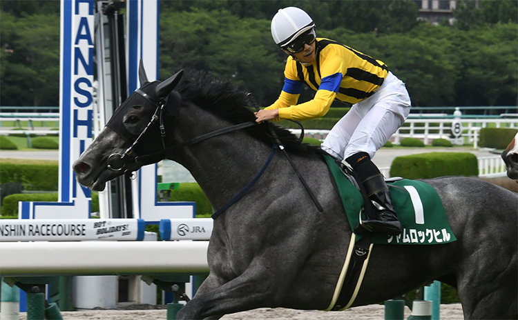 マーメイドS予想】過去10年のレース結果（1～3着馬）のデータ一覧/競馬