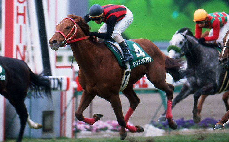 プラチナジュビリーステークス（G1）歴代日本馬出走・成績一覧