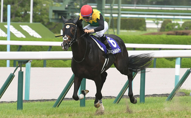 G1レース レコードタイム一覧 Jra中央競馬 競馬まとめ Netkeiba Com