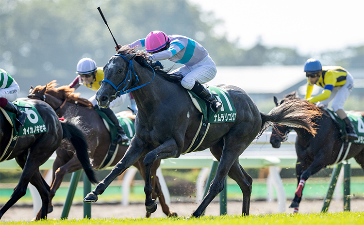 アグネスワールド⭐︎函館2歳S⭐︎現地的中単勝馬券-