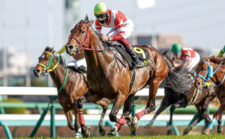 【アイビスサマーダッシュ2022最新情報】新潟名物“千直”で繰り広げられるハイスピードバトル！