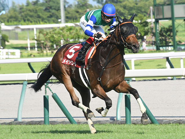 【セントウルS2022結果情報】悲願のGI制覇へ向け好発進！ メイケイエールが重賞6勝目