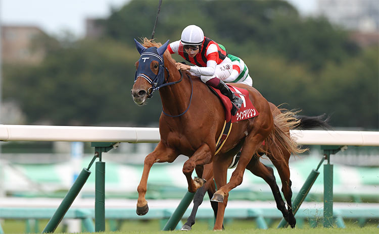 オールカマー予想】近年は牝馬が好成績…など過去10年のレース結果(1～3着馬)のデータ一覧/競馬予想データ | 競馬まとめ - netkeiba