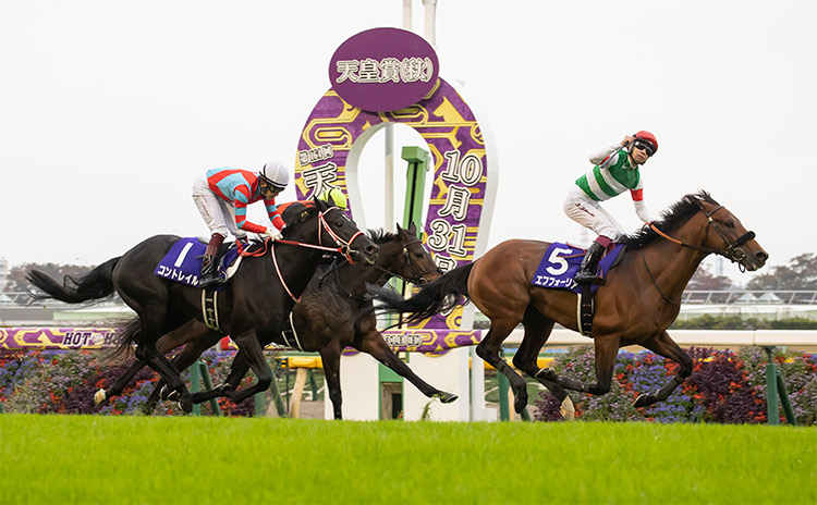 天皇賞・秋 予想】勝ち馬0と連対率60%超えのデータを発見！ 過去10年の