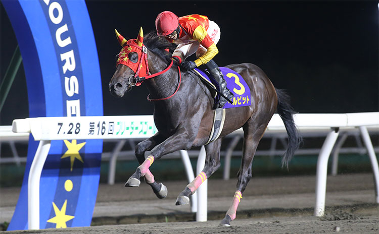 JBC2歳優駿予想】頭数が揃う今回、ペースが上がりこの馬の末脚が活きる！ | 競馬まとめ - netkeiba