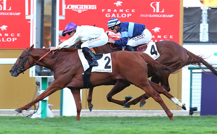 ジャパンc データ オネストは優勝すれば4億1700万 シャフリヤールは2億7800万 報奨金交付対象となる指定外国競走一覧 競馬まとめ Netkeiba Com