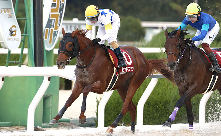 兵庫ジュニアグランプリ予想】近年は中心馬が明確になり、固めの傾向… 過去10年のレース結果(1～3着馬)のデータ一覧/競馬予想データ | 競馬まとめ  - netkeiba