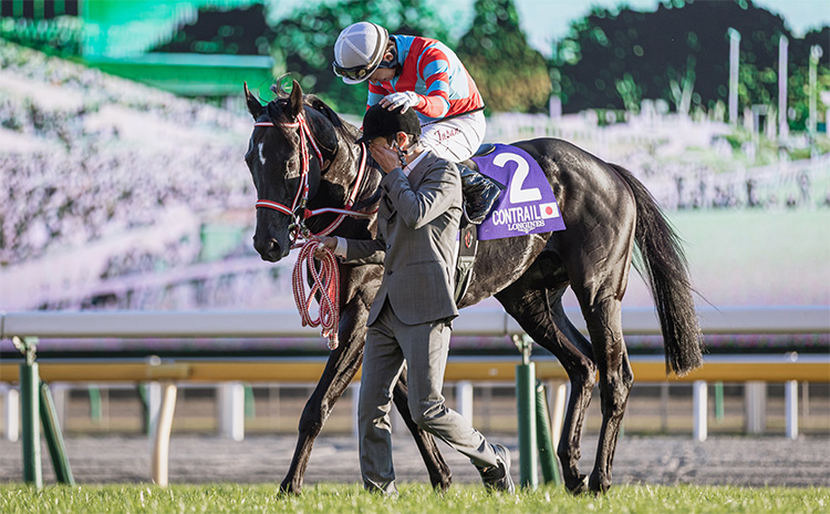 ジャパンカップ 予想 前走天皇賞秋組から積極的買う馬の条件とは 過去10年のレース結果 1 3着馬 のデータ一覧 競馬予想データ 競馬まとめ Netkeiba Com