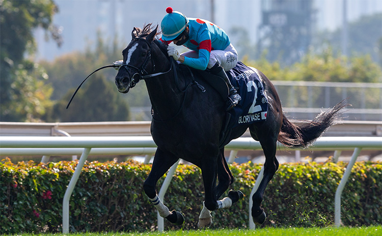【香港ヴァーズ(G1)まとめ】2022年12月11日に香港・シャティン競馬場で開催！ 日本馬・出走馬・ニュース・予想・結果・など最新情報