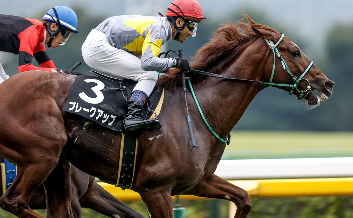 【有馬記念 穴馬予想】夢を託す事が出来る“高配当の使者”はこの馬！