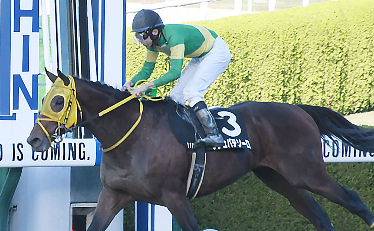 【東京大賞典最新情報】“絶対王者”不在の混沌とする争いを制するのは誰だ？