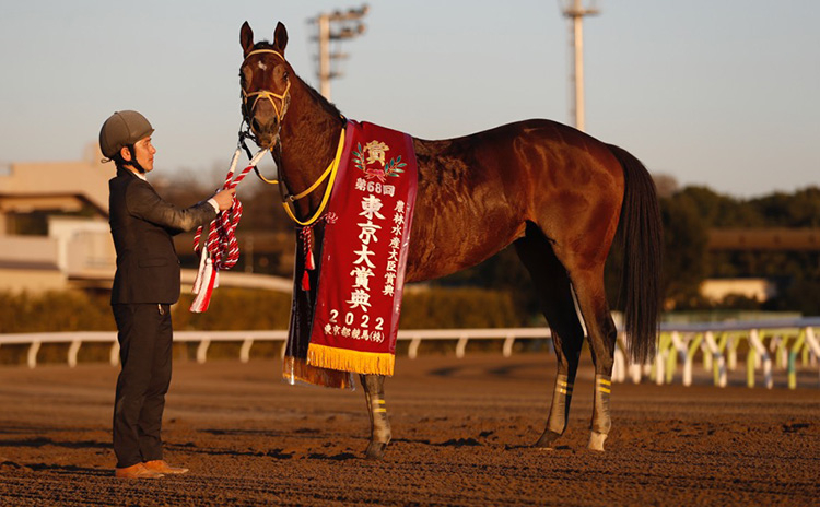 競馬 東京記念連覇したルースリンドの第４５回東京記念曳き綱（優勝