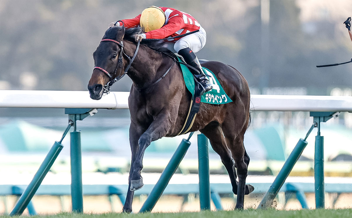 【フェアリーS 結果情報】“翼をひろげて”キタウイングが最内突き鮮やかに重賞2勝目!!