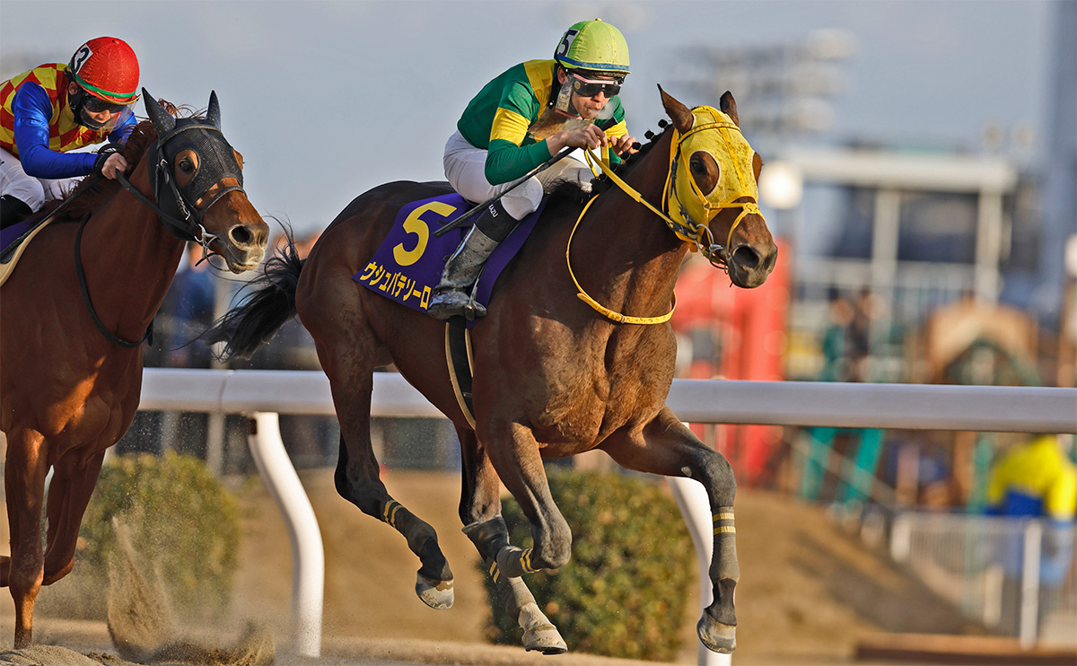 川崎 競馬 の 結果