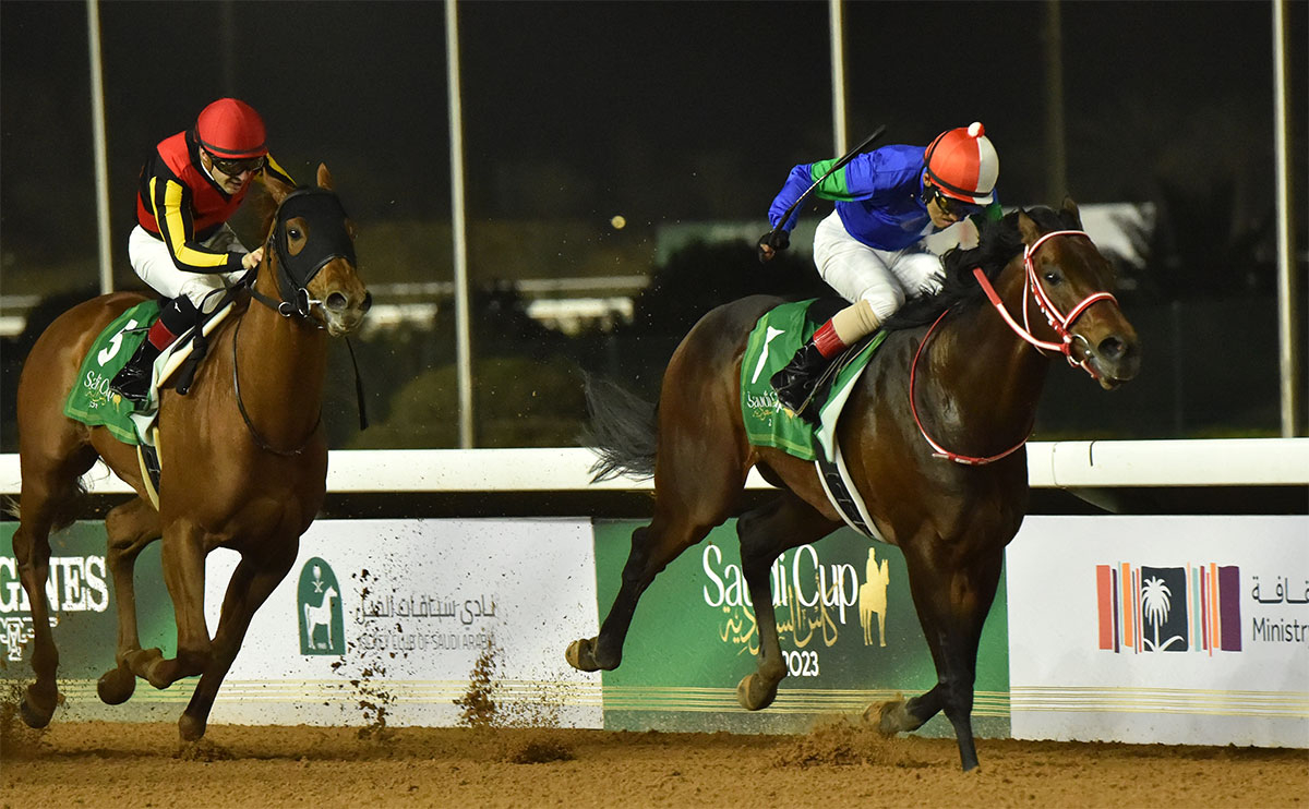 サウジカップミニキャラ　競走馬色紙イラスト　JRA競馬