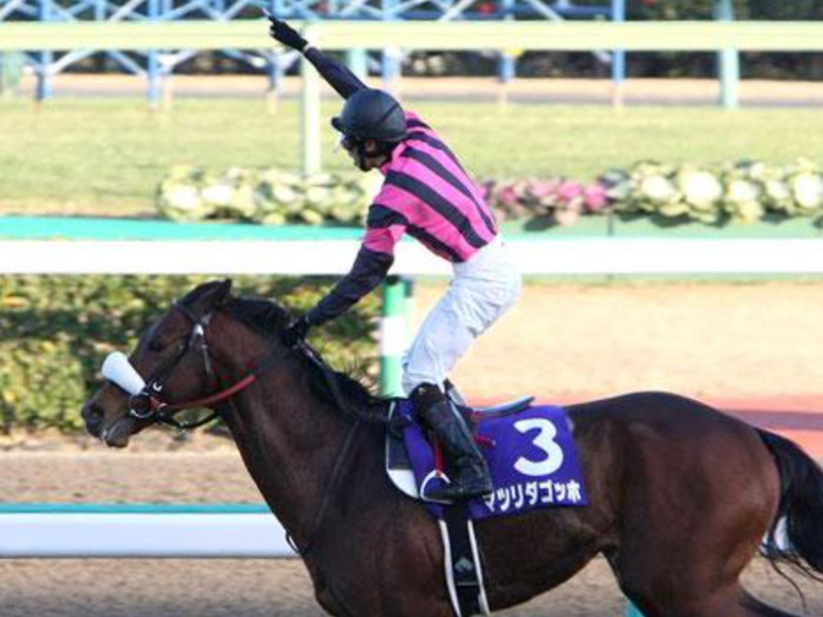 主な騎乗用語の一覧 「手前」「再騎乗」「経済コース」「息を入れる」とは？ | 競馬用語まとめ