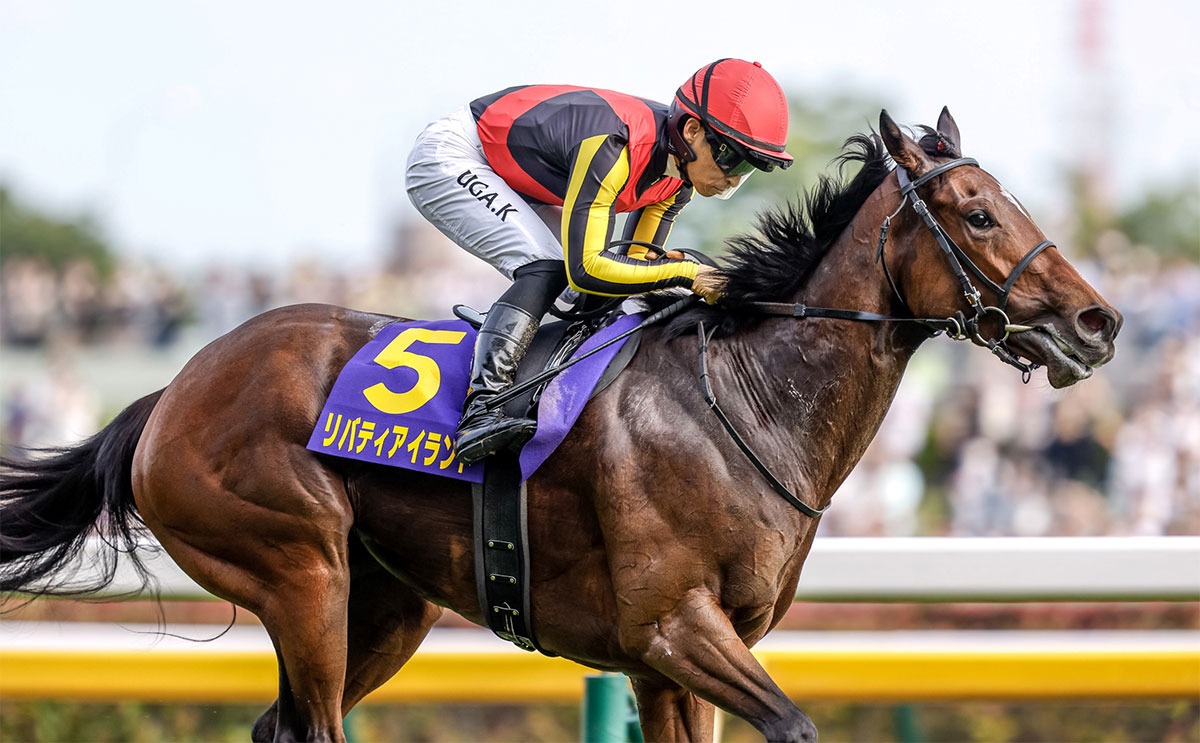 リバティアイランド オークス2023年 東京競馬場 現地的中馬券 - その他