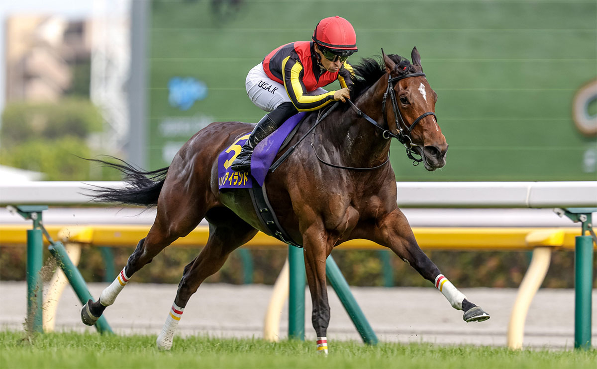 リバティアイランド オークス2023年 東京競馬場 現地的中馬券 - その他