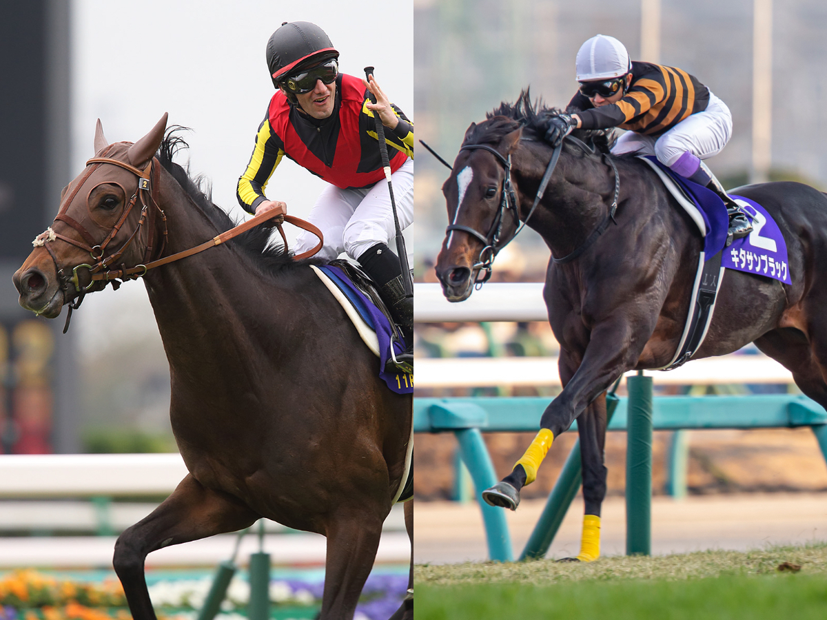 セレクトセール2023に上場されるキタサンブラック産駒・ドゥラメンテ産