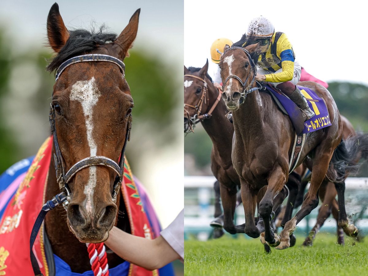 トウカイテイオー 1991年日本ダービー 枠連馬券 現地当たり馬券 - その他