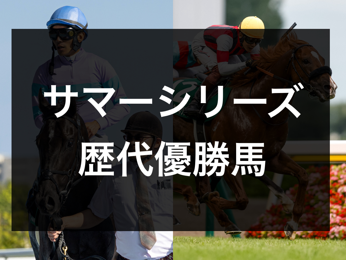 競馬 ✨サマースプリントシリーズ優勝等 パドトロワ号 実使用ゼッケン