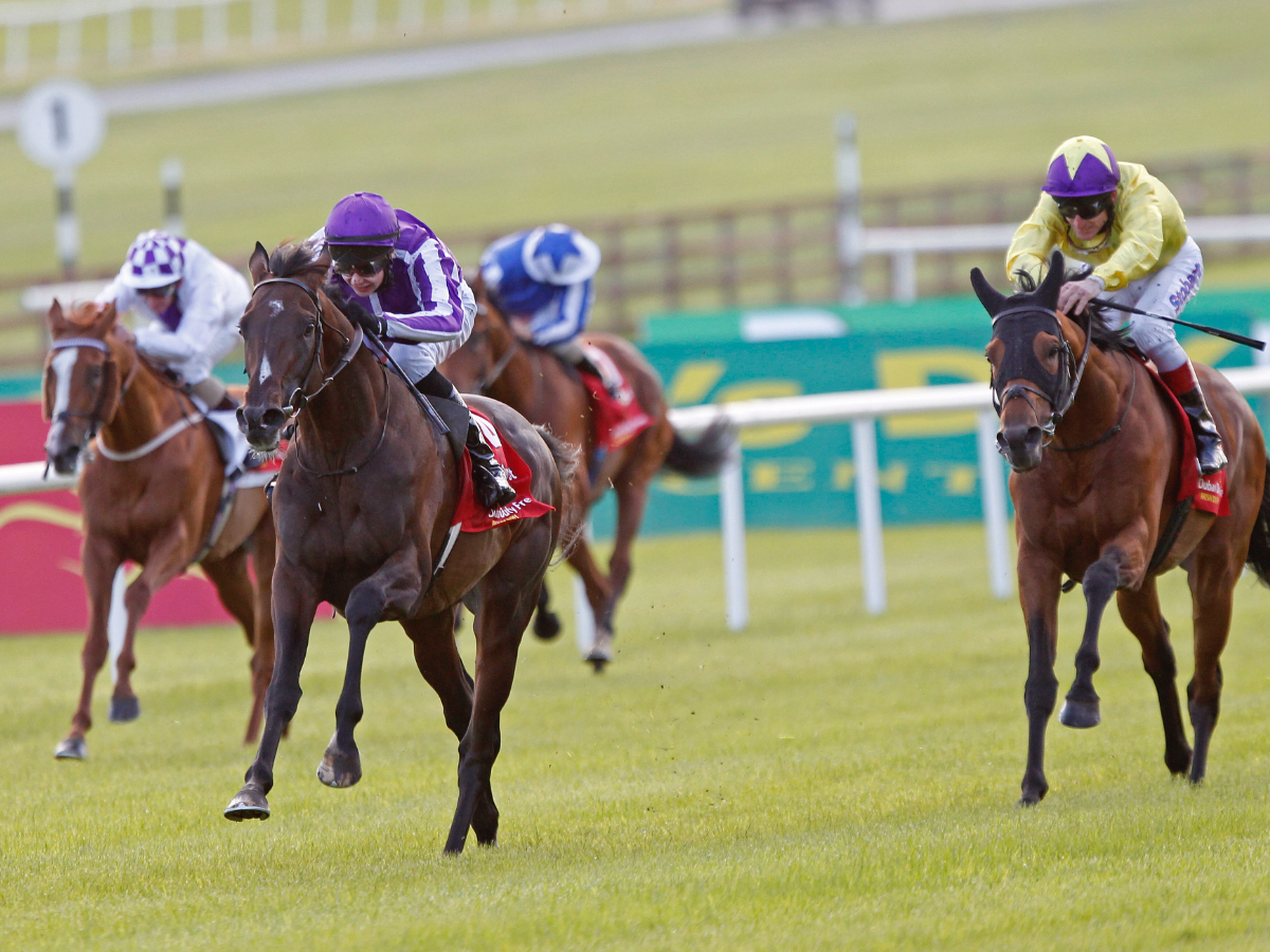 アイルランドの主要な競馬場一覧 / 海外の競馬場まとめ | 競馬まとめ 