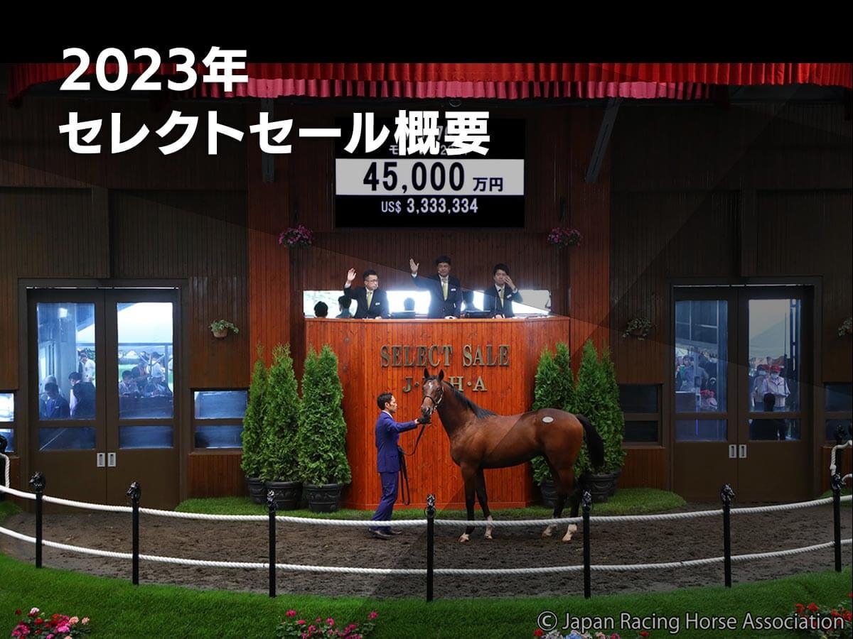 セレクトセール2023特集】概要・結果速報・注目馬・高額馬・上場馬一覧