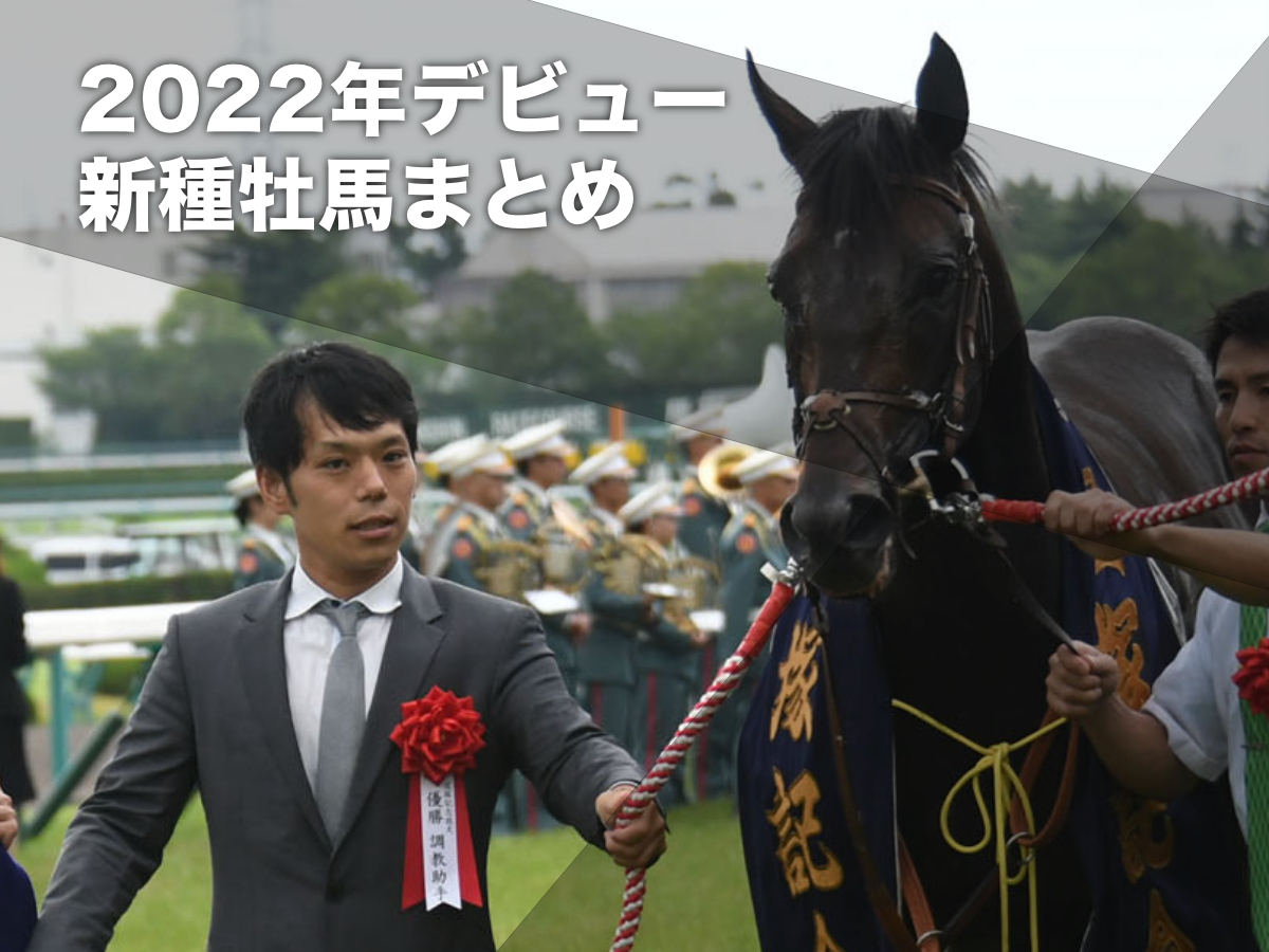 新種の馬