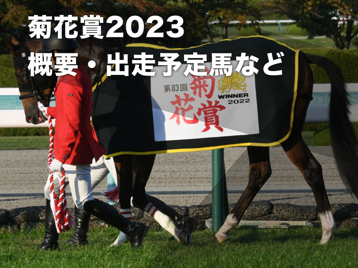 菊花賞2023】出走想定馬17頭・日程・レース概要・最新ニュース