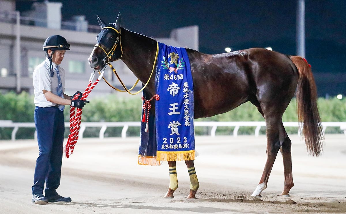 帝王賞 歴代優勝馬・騎手一覧 | 競馬まとめ - netkeiba