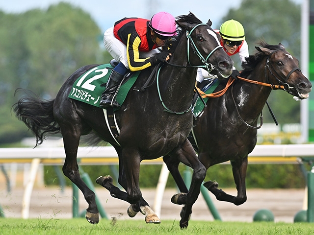 新潟2歳ステークス2023 結果情報】アスコリピチェーノが切れる末脚