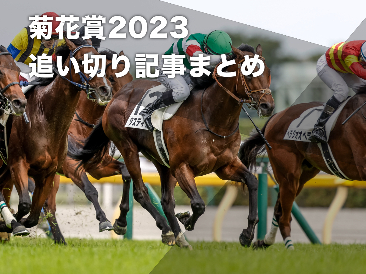 【菊花賞2023】出走各馬の追い切り記事まとめ ソールオリエンス・タスティエーラ・サトノグランツなどの調教情報