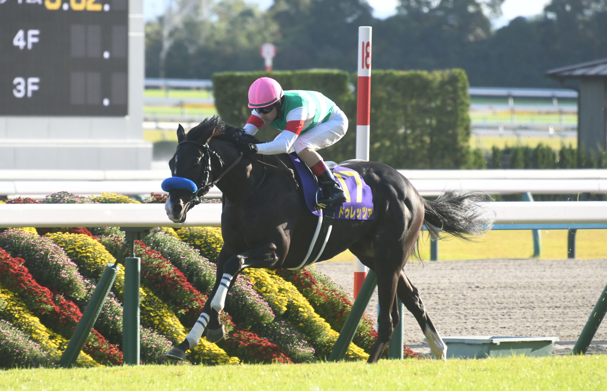 菊花賞 歴代優勝馬・騎手一覧（過去G1結果） | 競馬まとめ - netkeiba