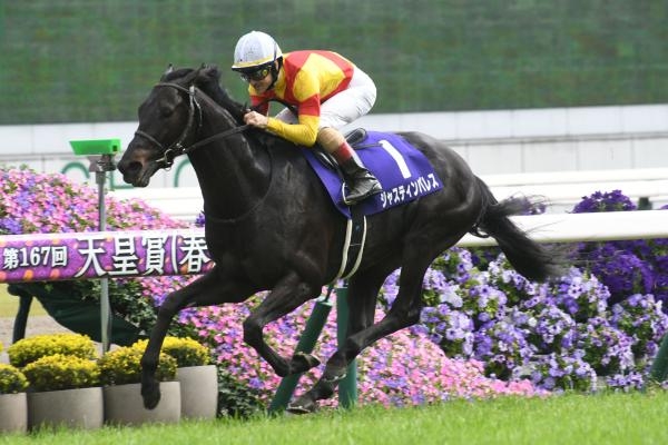 ライスシャワー 第111回天皇賞（春）（G1）馬券 - コレクション